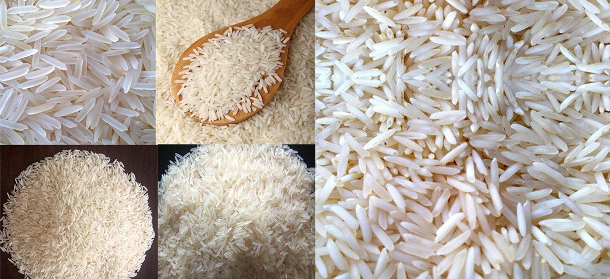 High Quality Indian Rice 